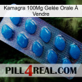 Kamagra 100Mg Gelée Orale À Vendre viagra1